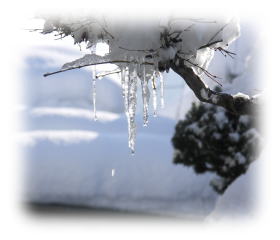 木の枝の氷柱