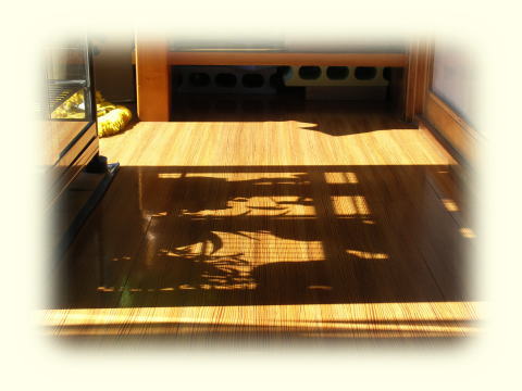 廊下に差し込む三月の日差し